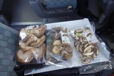 A 181013 柏職業訓練校視察 (20).jpg