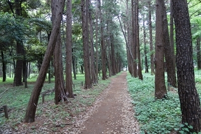 A 190609 茂木本家美術館ほか (76).jpg