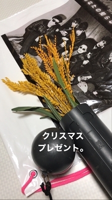 A QJDE0417.jpg
